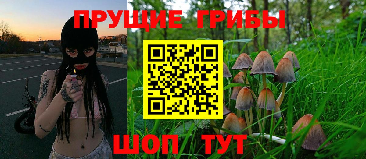 Псилоцибиновые грибы Cubensis  Псилоцибиновые грибы Magic Shrooms  Ульяновск  наркотики  Вход с VPN 
